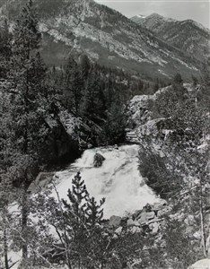 Image description is not available for 2007.014